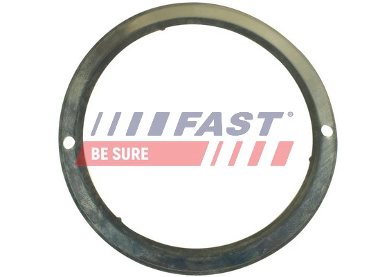 Кольцо FAST FT84587