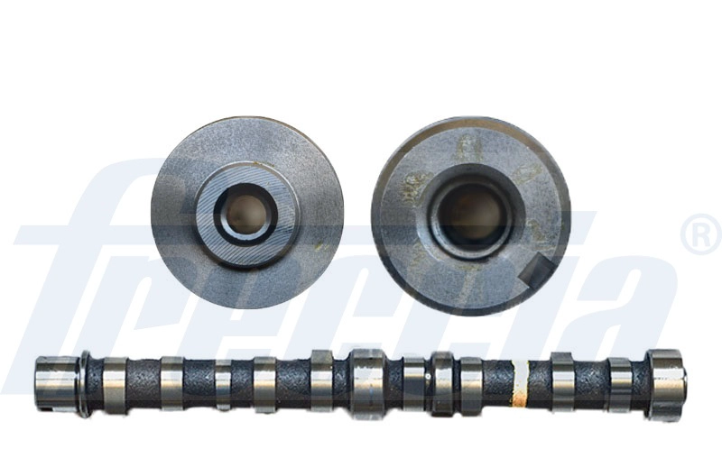 Распредвал fiat 500/punto/panda 1.3 mjt 16v euro 5 in 2009- FRECCIA CM05-2229
