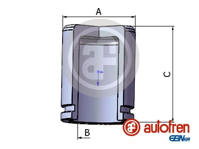 Поршень тормозного суппорта SEINSA D025657