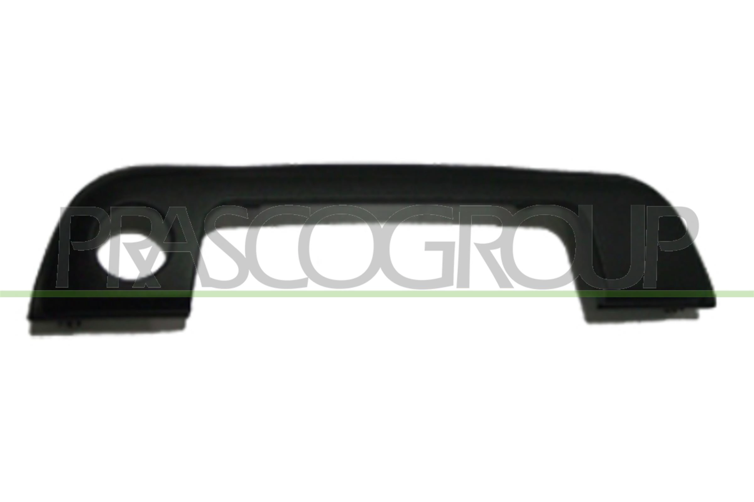 Ручка двери PRASCO BM0148702