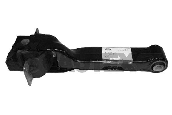 Опора двигателя ford transit 2.2tdci 06- CAUTEX 081157