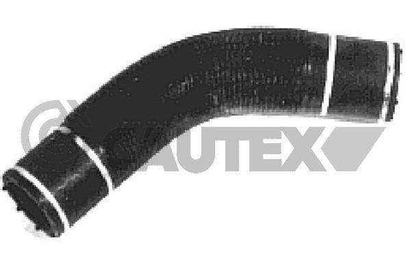 Патрубок радиатора CAUTEX 036012