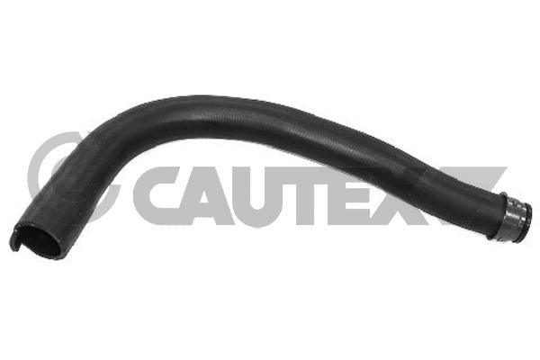 Патрубок радиатора CAUTEX 036400
