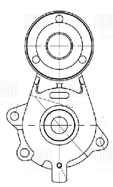 Cm 5653 ролик приводного ремня с натяжным механизмом TRIALLI CM 5653