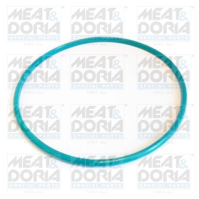 Уплотнительное кольцо топливной системы MEAT & DORIA GSK01