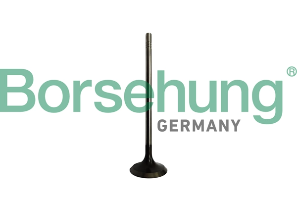 Клапан грм BORSEHUNG B10328