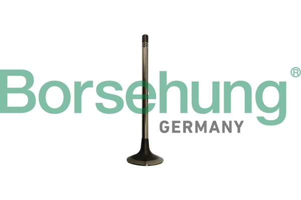 Клапан грм BORSEHUNG B10333