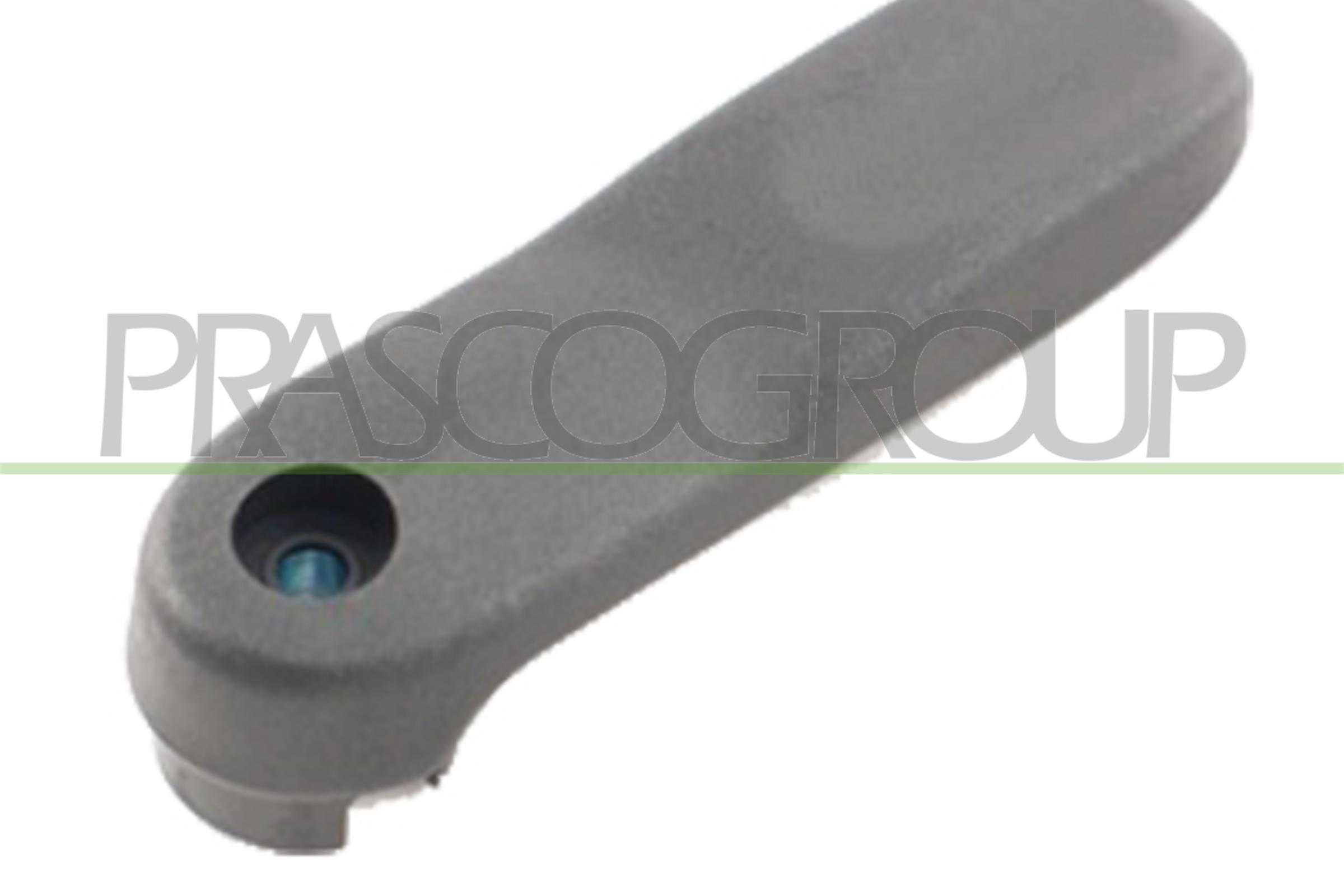 Ручка задней двери внутренняя черная PRASCO DS9178300