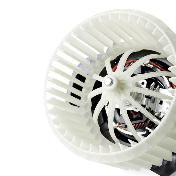  RIDEX 2669I0031
