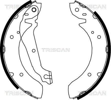 Колодки тормозные барабанные TRISCAN 8100 18013