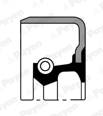 Сальник PAYEN NJ562