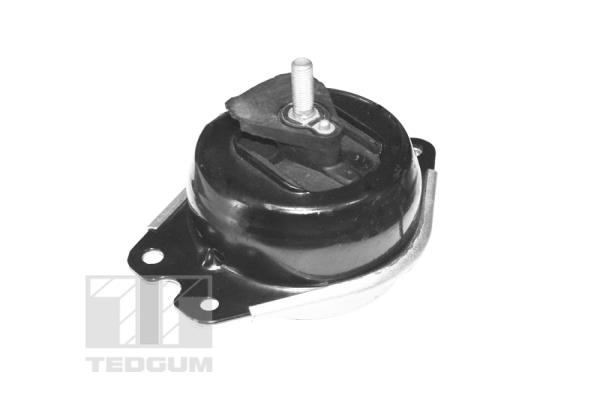  TEDGUM TED40414