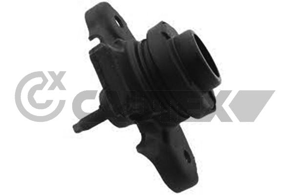 Запчасть CAUTEX 756393
