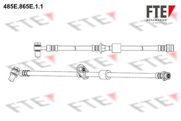 FTE 485E.865E.1.1