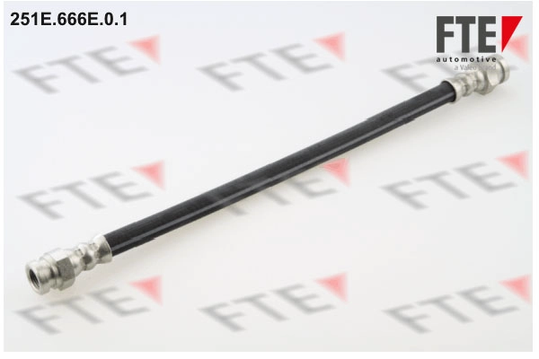 Шланг тормозной FTE 251E.666E.0.1