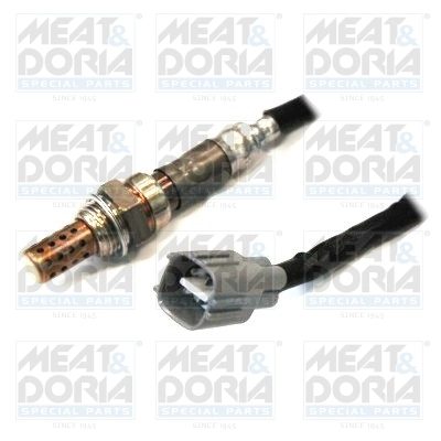 3004220 MEAT & DORIA 81756