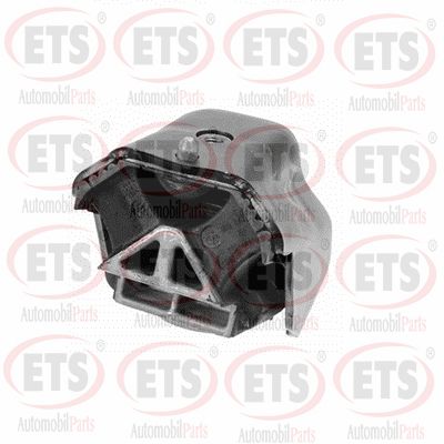 Опора двигателя ETS 31.EM.892