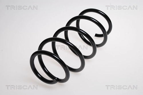Пружина ходовой части TRISCAN 8750 24123