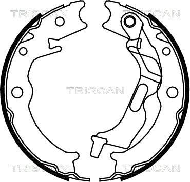 Комплект тормозных колодок стояночная тормозная система TRISCAN 8100 21001