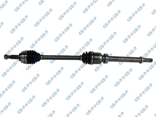  GSP 250489