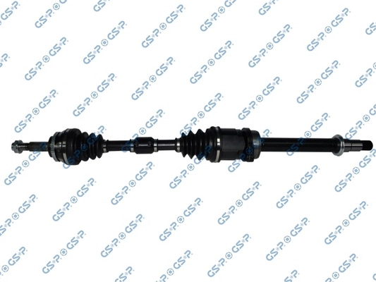  GSP 259519