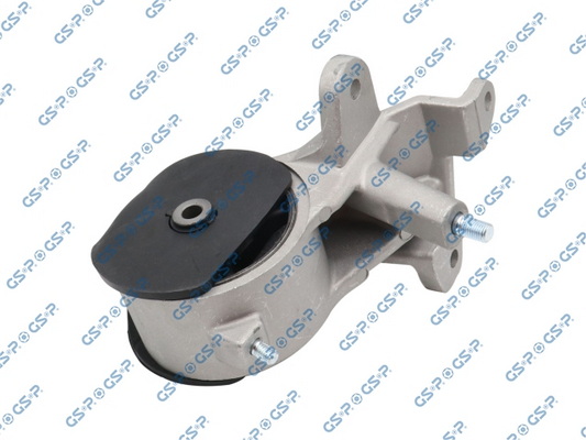  GSP 513795