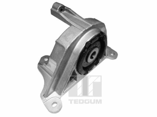  TEDGUM 00215780