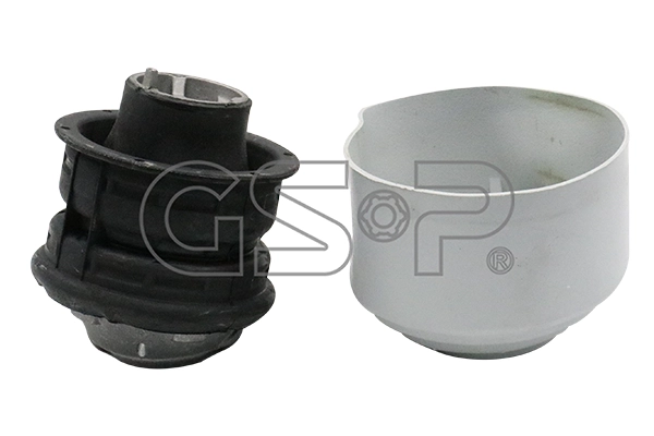  GSP 530138