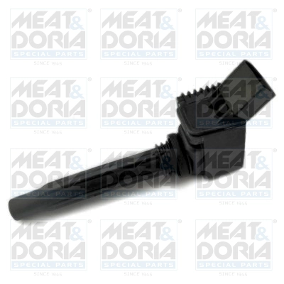  MEAT & DORIA 10786