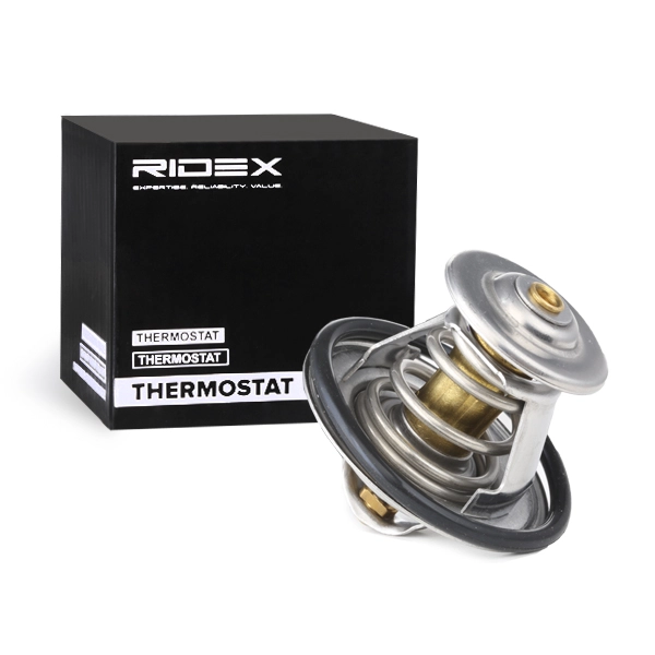  RIDEX 316T0002