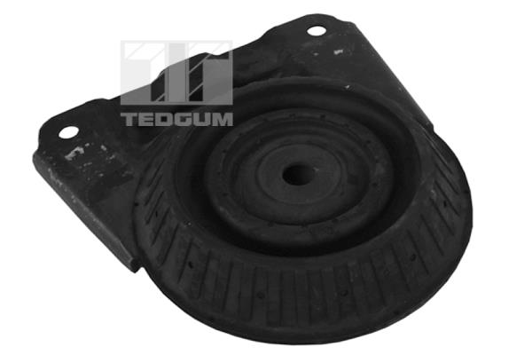  TEDGUM 00222320