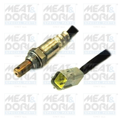 3004203 MEAT & DORIA 81739
