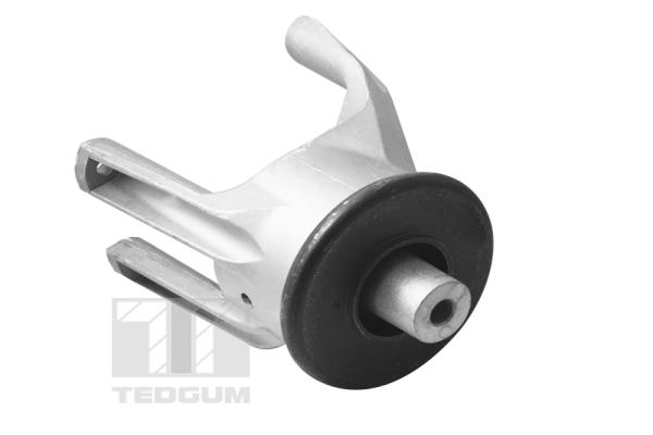  TEDGUM 00725748