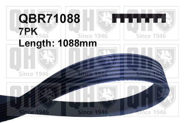  QUINTON HAZELL QBR71088