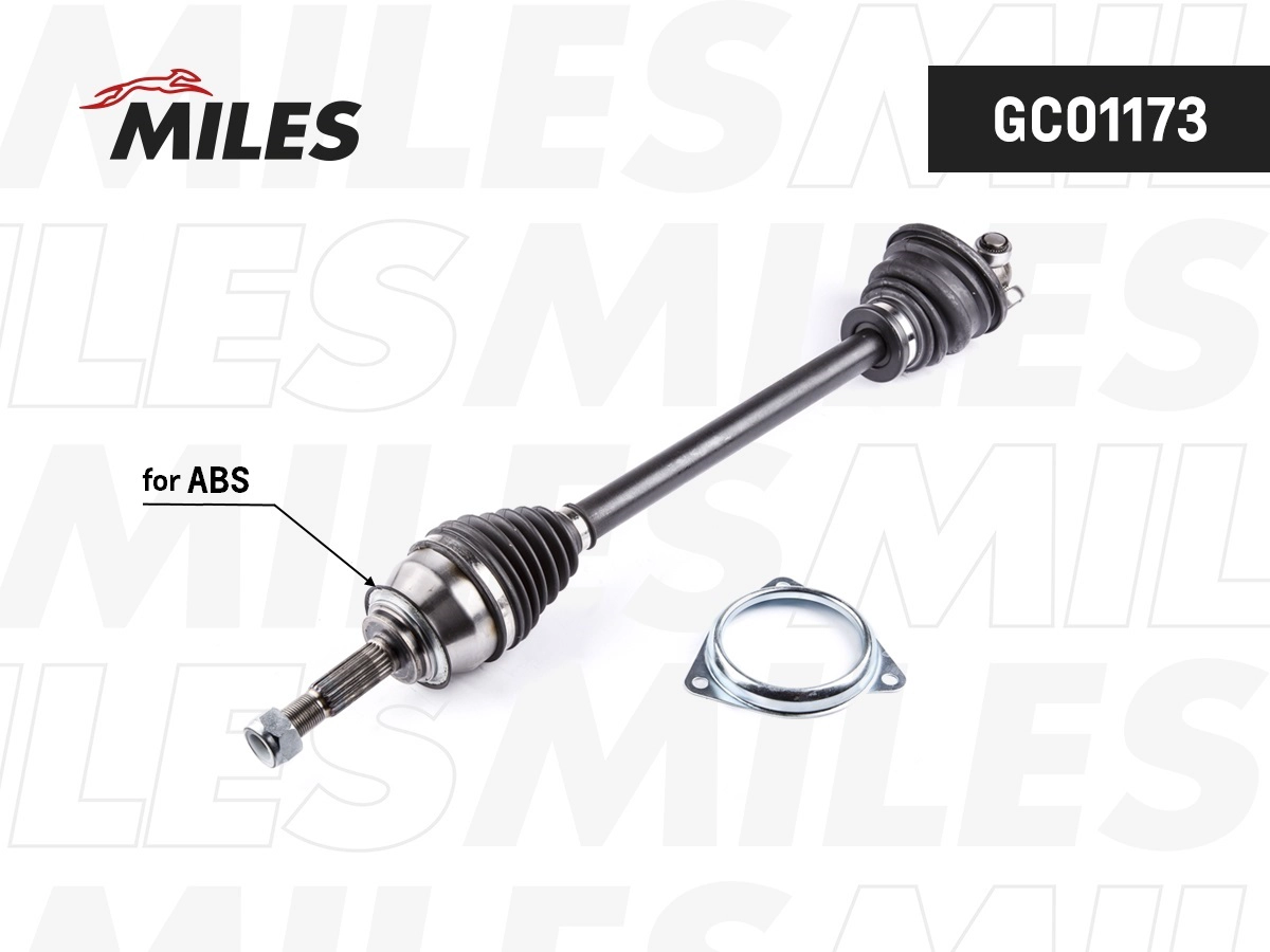  MILES GC01173