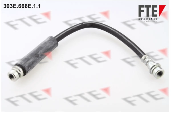 Шланг тормозной FTE 303E.666E.1.1