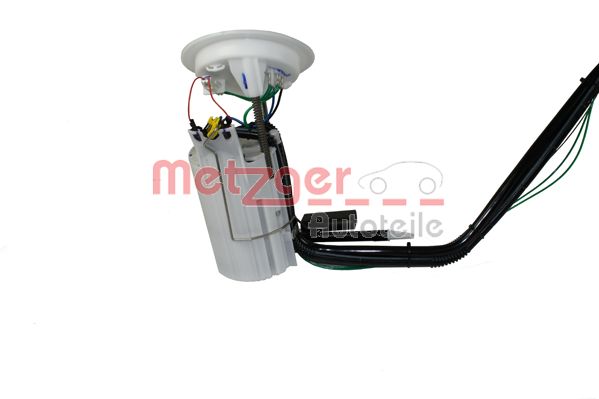  METZGER 2250081