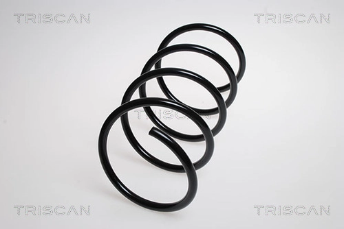 Пружина ходовой части TRISCAN 8750 23123