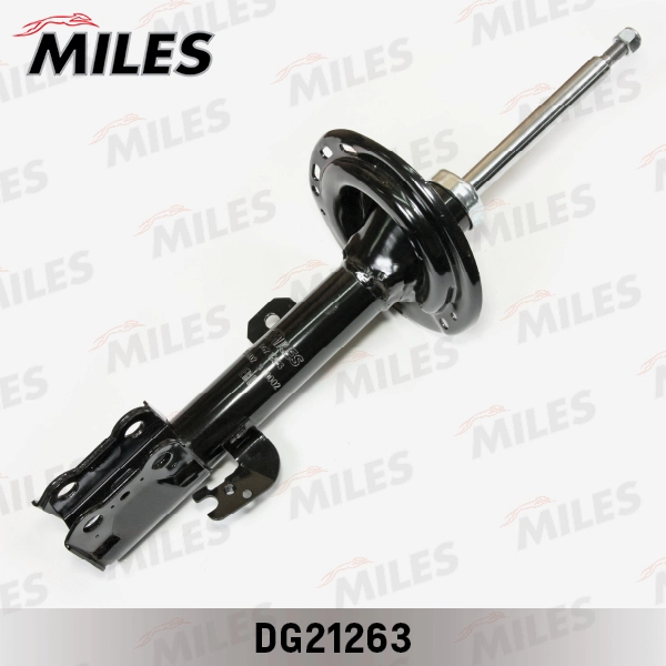  MILES DG21263