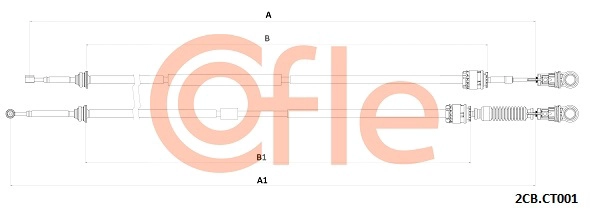  COFLE 2CB.CT001