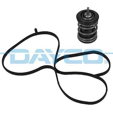 Термостат DAYCO DT1264V