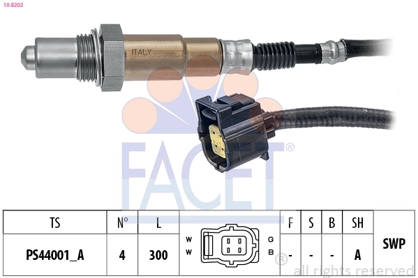  FACET 10.8202