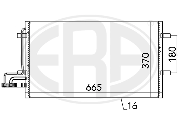  ERA 667029