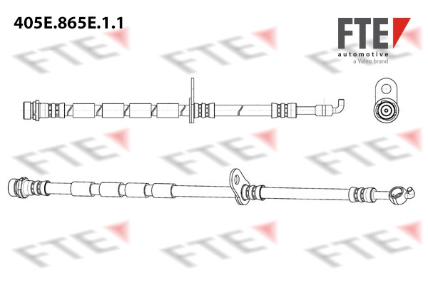  FTE 405E.865E.1.1