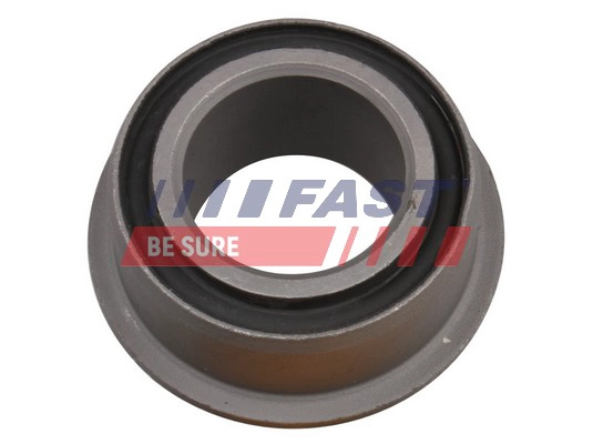  FAST FT18310