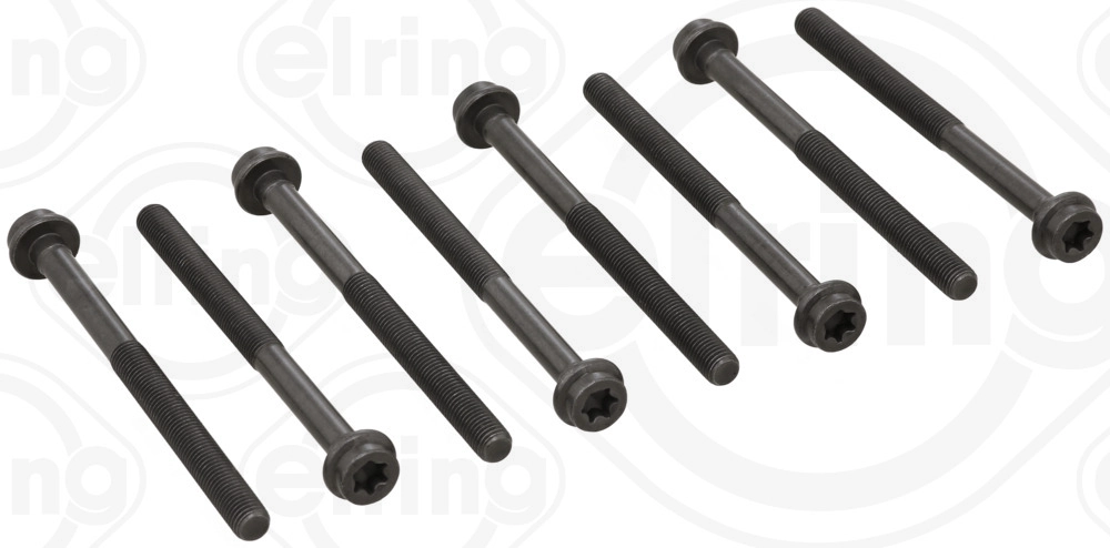 Комплект болтов гбц ELRING 759.970