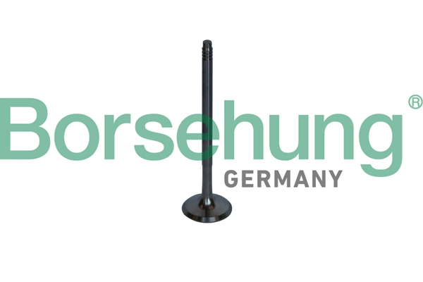 Клапан грм BORSEHUNG B10326
