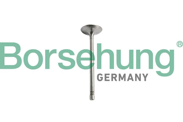 Клапан грм BORSEHUNG B10351