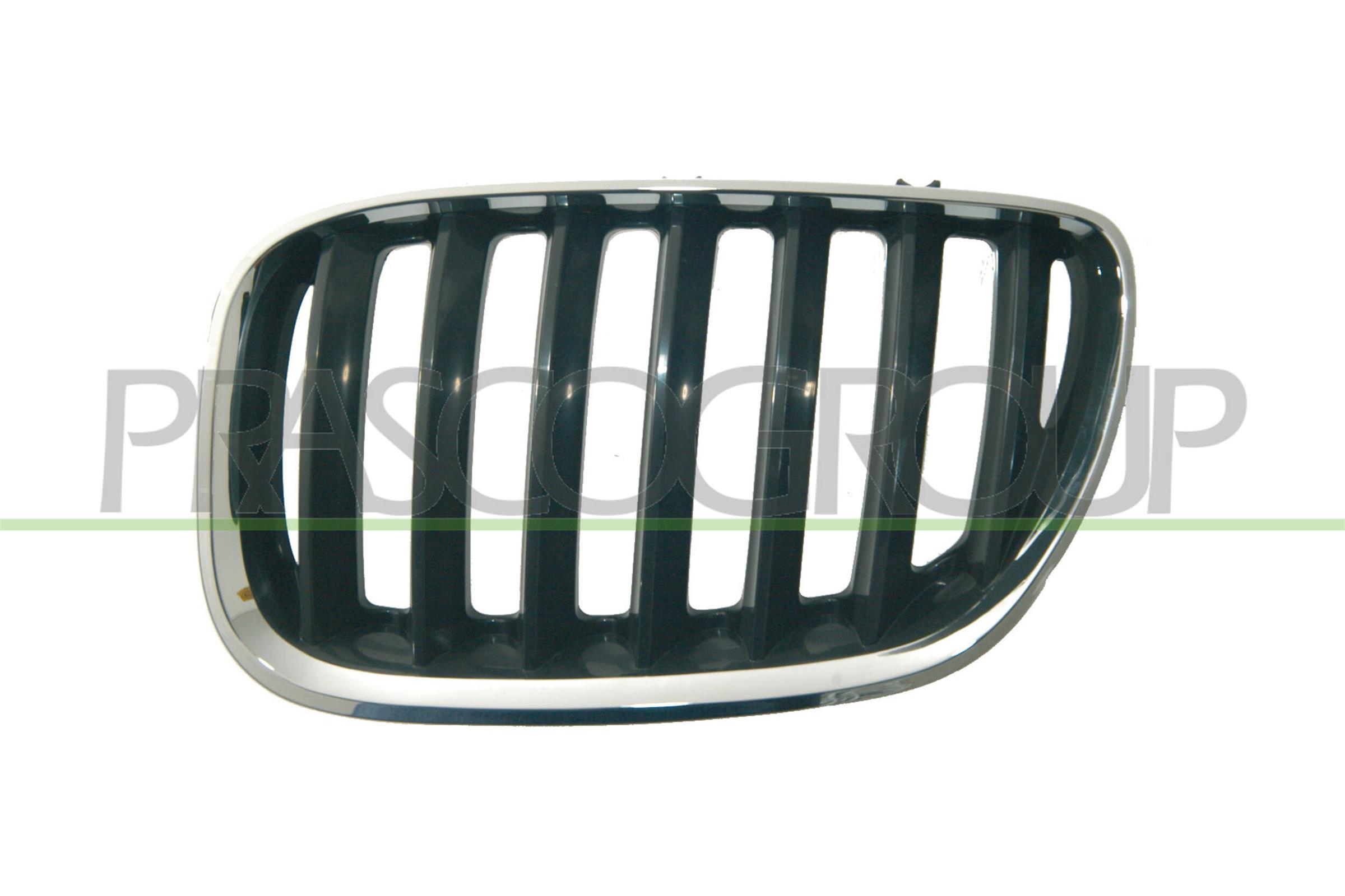 Решетка радиатора PRASCO BM8202024
