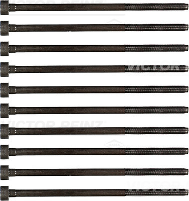 Комплект болтов головки цилидра VICTOR REINZ 14-32221-01